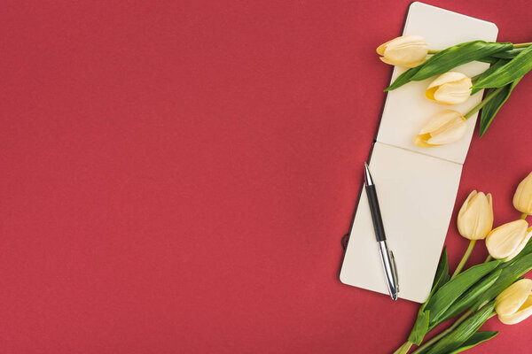 top view of tulips and empty notepad with pen isolated on red