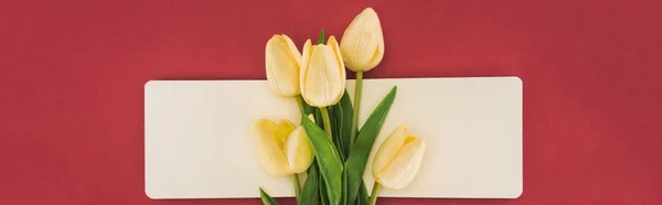 Vista Superior Tulipanes Cuaderno Vacío Aislado Rojo Plano Panorámico — Foto de Stock