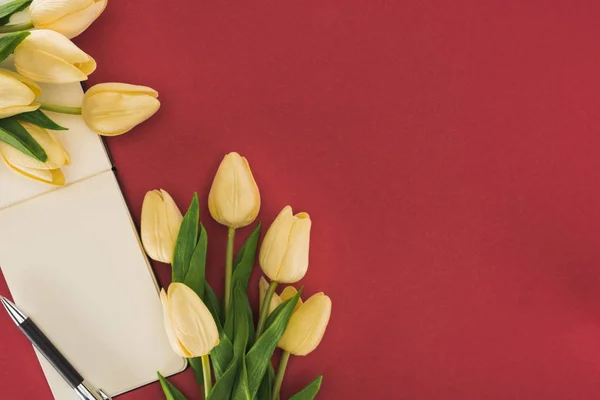 Tilikan Atas Tulip Dan Notebook Kosong Dengan Pena Terisolasi Merah — Stok Foto