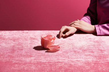 Gül çiçeğinin yanında, kadife kumaşın üzerinde, pembe, kızsı bir konsepte izole edilmiş bir kadın görüntüsü. 