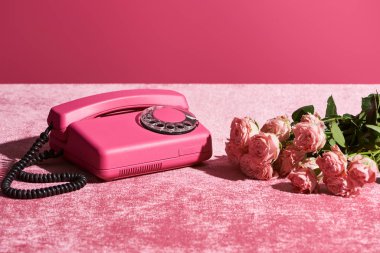 Pembe kadife kumaş üzerinde gül ve klasik telefon. Pembe, kızsı bir konseptte izole edilmiş.