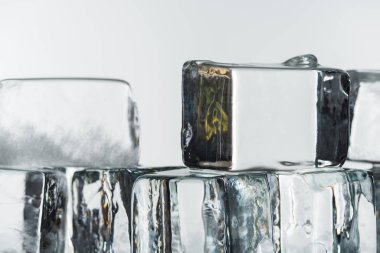 Eriyen şeffaf temiz kare buz küplerinin beyaz üzerinde izole edilmiş görüntüsünü kapat