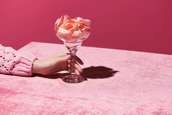 ピンク色のガーリッシュなコンセプトで単離されたベロア布にバラの花びらを持つガラスを保持する女性のクロップドビュー — ストック写真
