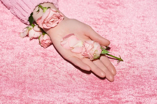 Vista Recortada Mujer Sosteniendo Rosas Tela Terciopelo Rosa Concepto Niña — Foto de Stock