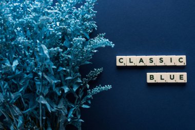 Mavi arka planda boyanmış bitkinin yakınındaki küplerde klasik mavi harflerin üst görünümü