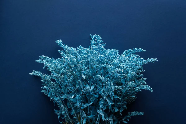 青い背景に描かれた植物の上からの眺め — ストック写真