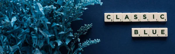 Top View Classic Blue Lettering Cubes Painted Plant Blue Background — 스톡 사진