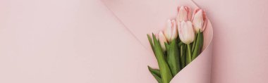 top view of tulip bouquet wrapped in paper swirl on pink background, panoramic shot