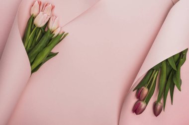 top view of pink and purple tulips wrapped in paper swirls on pink background