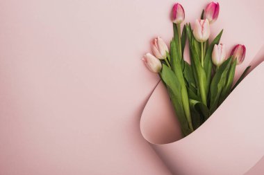 top view of pink and purple tulips wrapped in paper swirl on pink background