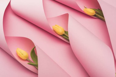 yellow tulips in paper swirls on pink background