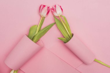top view of tulips wrapped in paper swirls on pink background