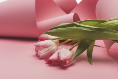 close up view of tulips wrapped in pink paper swirls