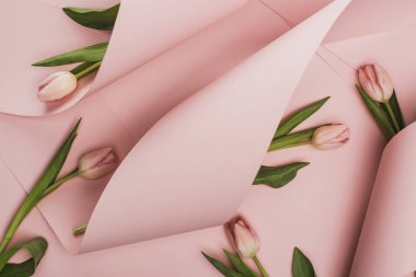 top view of spring tulips wrapped in paper swirls on pink background