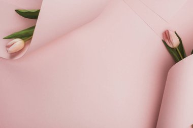 top view of spring tulips wrapped in paper swirls on pink background