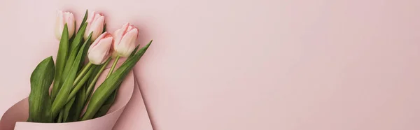 ピンクの背景に紙に包まれたチューリップの上からの眺めパノラマ写真 — ストック写真