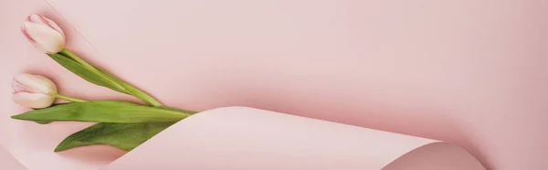 Bovenaanzicht Van Tulpen Gewikkeld Papier Roze Achtergrond Panoramisch Shot — Stockfoto