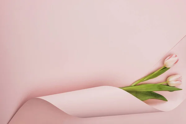Bovenaanzicht Van Tulpen Gewikkeld Papier Werveling Roze Achtergrond — Stockfoto