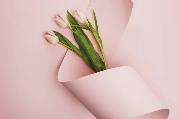 ピンクの背景に紙の渦に包まれたチューリップのトップビュー — ストック写真