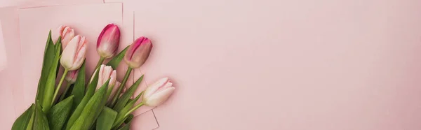 Bovenaanzicht Van Roze Paarse Tulpen Gewikkeld Papier Roze Achtergrond Panoramisch — Stockfoto