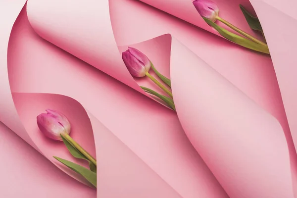 Purpurowe Tulipany Papierowych Zawirowaniach Różowym Tle — Zdjęcie stockowe