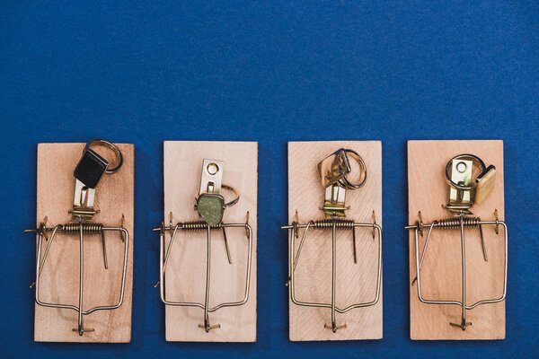 Вид сверху ювелирных колец в мышиных ловушках на синем фоне
