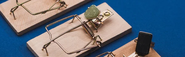 Foto Panorámica Anillos Joyería Con Piedras Preciosas Trampas Ratón Sobre —  Fotos de Stock