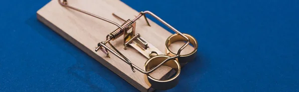 Foto Panorámica Anillos Joyería Dorada Trampa Ratón Madera Sobre Fondo — Foto de Stock