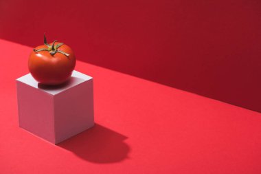 fresh ripe tomato on cube on red background clipart