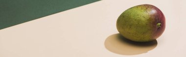 fresh mango on green and white background, panoramic shot
