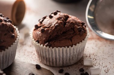 close up view of fresh chocolate muffins with marshmallow and cocoa powder