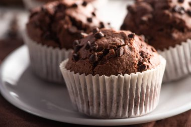 close up view of fresh chocolate muffins on white plate