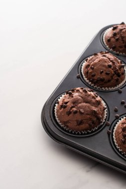 close up view of fresh chocolate muffins in muffin tin