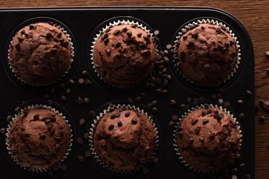 top view of fresh chocolate muffins in muffin tin on wooden surface