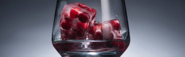 transparent glass with frozen redcurrant in ice cubes and vodka in dark with back light, panoramic shot clipart
