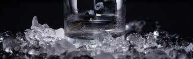 transparent glass with vodka and blueberries near smashed ice isolated on black, panoramic shot clipart
