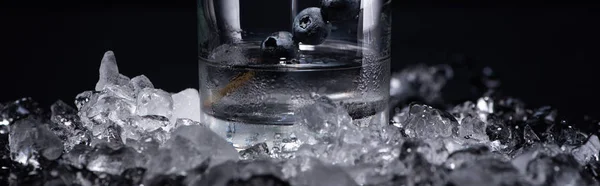 Transparent Glass Vodka Blueberries Smashed Ice Isolated Black Panoramic Shot — Stock Photo, Image