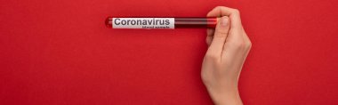 Top view of woman holding test tube with blood sample and coronavirus lettering on red background, panoramic shot clipart