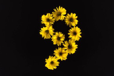 top view of yellow daisies arranged in number 9 isolated on black clipart