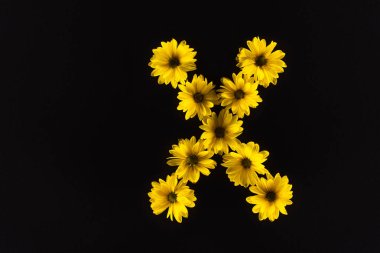 Siyah üzerine izole edilmiş X harfi ile sıralanmış sarı papatyaların üst görüntüsü