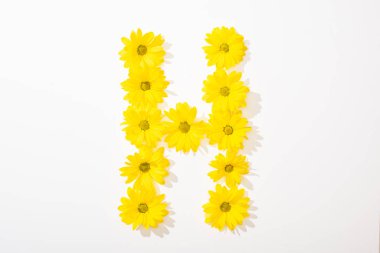top view of yellow daisies arranged in letter H on white background clipart