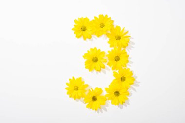 top view of yellow daisies arranged in number 3 on white background clipart