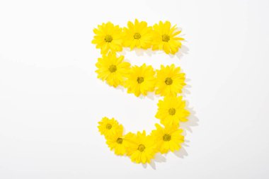 top view of yellow daisies arranged in number 5 on white background clipart