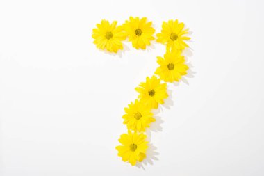 top view of yellow daisies arranged in number 7 on white background clipart