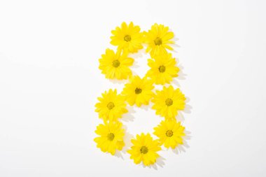 top view of yellow daisies arranged in number 8 on white background clipart