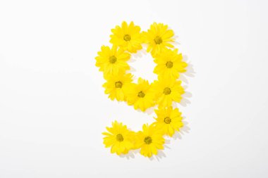 top view of yellow daisies arranged in number 9 on white background clipart