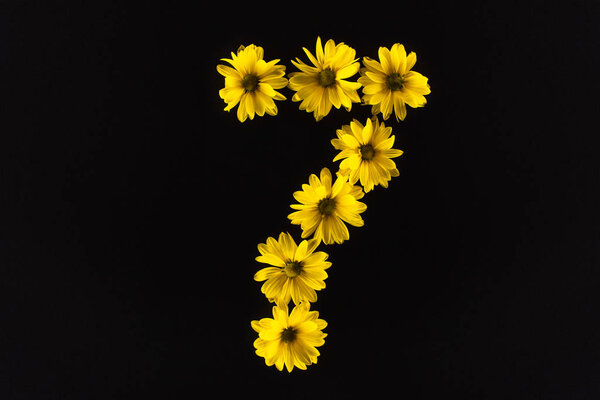 top view of yellow daisies arranged in number isolated on black