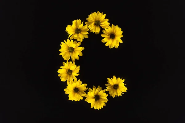 Top View Yellow Daisies Arranged Letter Isolated Black — Stock Photo, Image