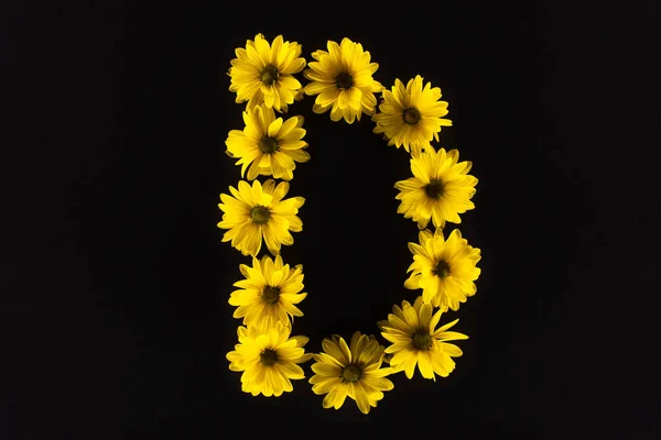 在字母D中排列的黄色雏菊的顶部视图 与黑色隔离 — 图库照片