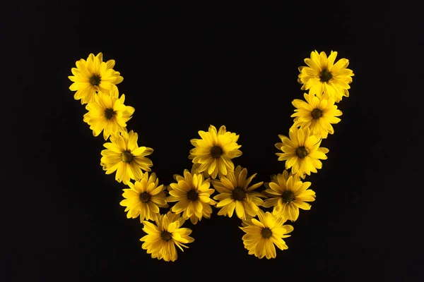 Top View Yellow Daisies Arranged Letter Isolated Black — Stock Photo, Image